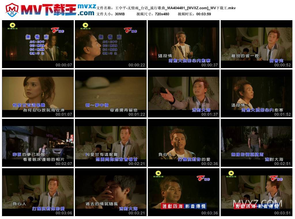 王中平-无情雨_台语_流行歌曲_MA404481